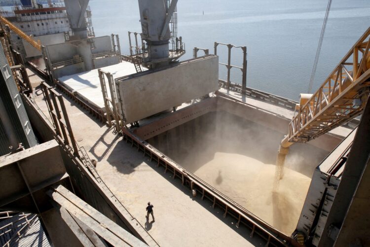 ukraine grain exports via poland, romania face bottlenecks  - news2sea
