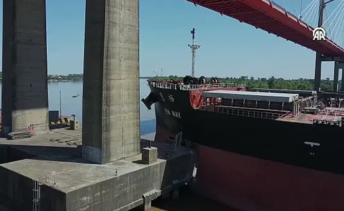 Cargo Ship Hits Bridge in Argentina - News2Sea